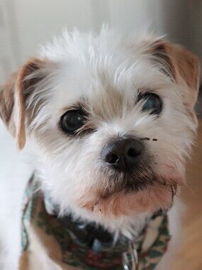 Everything Must Go! Send offers!